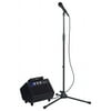 SINGTOOLS-PRO - 100W Pro Karaoke System with Pitch correction and Vocal Eliminator