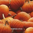 thumbnail image 4 of Air Wick Plug in Scented Oil Refill, 2ct, Pumpkin Spice, Air Freshener, 4 of 8
