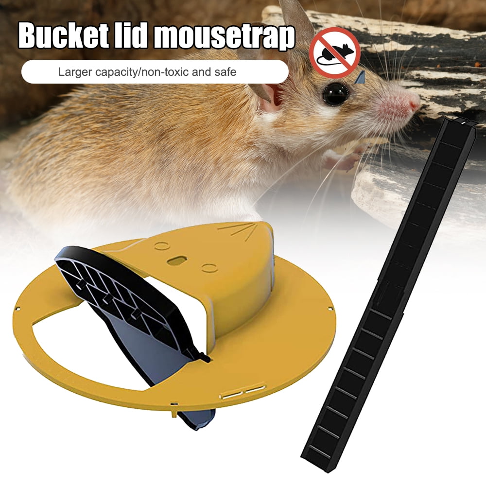 Details about   Mouse Trap Rat Trap Sliding cover design With Quick Effective 