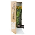 thumbnail image 4 of KaBloom : Bouquet of Fresh 20 Orange Tulips, Next-Day Delivery, Gift for all occasions, 4 of 6
