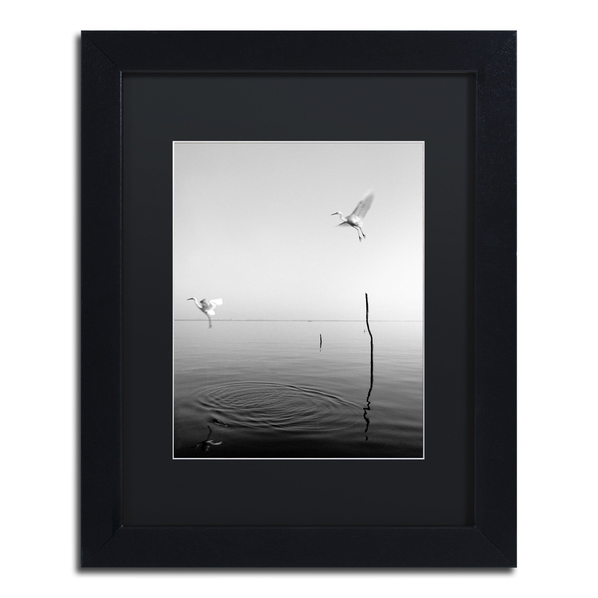 Trademark Fine Art "Flying" Canvas Art by Moises Levy Black Matte, Black Frame