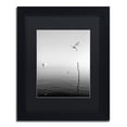 thumbnail image 2 of Trademark Fine Art "Flying" Canvas Art by Moises Levy Black Matte, Black Frame, 2 of 5