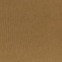 Brown Leaf