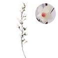 thumbnail image 1 of Artificial Flower Vine Magnolia Simulation Flowers Fake Plant for Home Decor, 1 of 7
