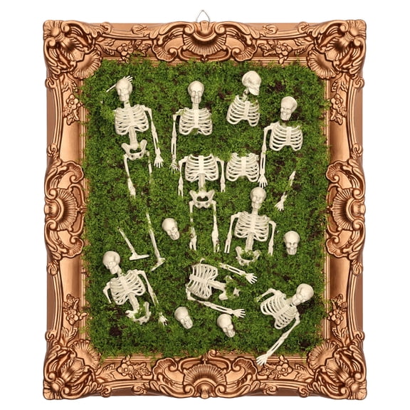 Skeleton Moss Framed Wall Art, Multicolor, 12" x 14.5", Halloween by Way To Celebrate