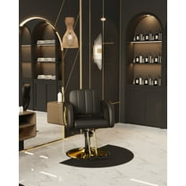 Baasha Black and Gold Salon Chair for Hair Stylist, with Comfortable Cushion, Upgraded Heavy Hydraulic Pump, 360 Degree Rotation, Professional Stylist Chair for Salon, Weight Capacity 440 lbs