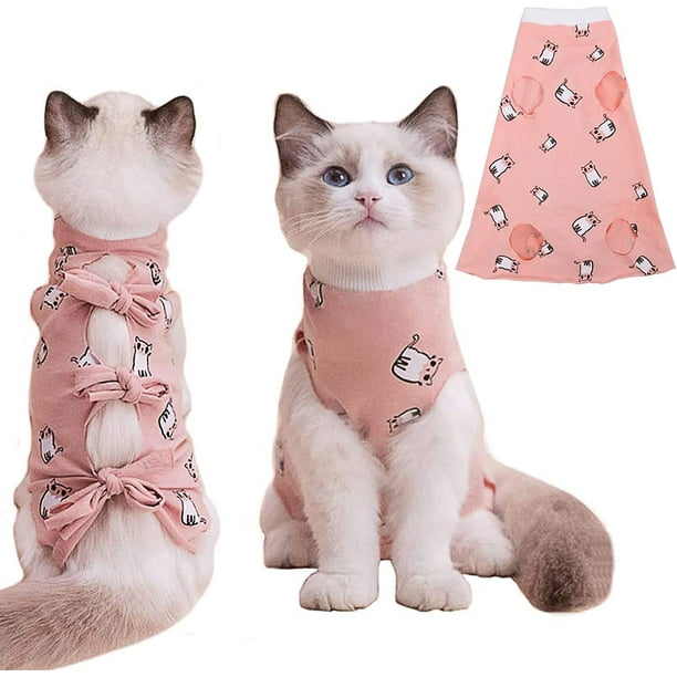 Cat spay hotsell cone alternative