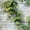 Color 2, variant on Peel and Stick Wallpaper Realistic Green Foliage Cracked Whitewashed Bricks Wall Mural 17.7in x 9.8ft Self Adhesive Removable Wall Paper Renter Friendly Wallpaper for Bedroom Cabinets