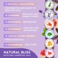 thumbnail image 4 of Vaporizadores de ducha Cleverfy para aromaterapia, paquete variado de 6, 4 of 7