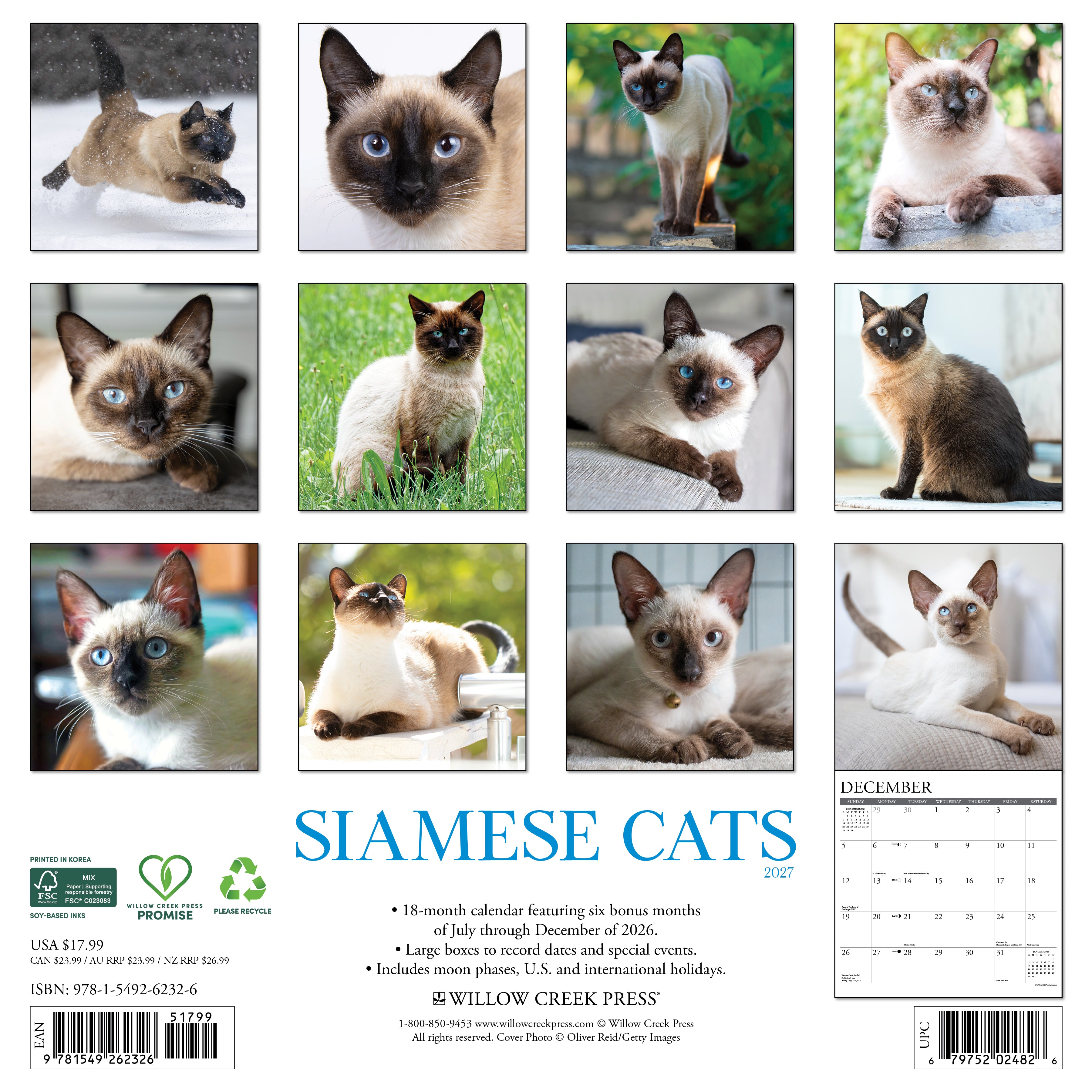 Willow Creek Press, Siamese Cats 2027 Wall Calendar