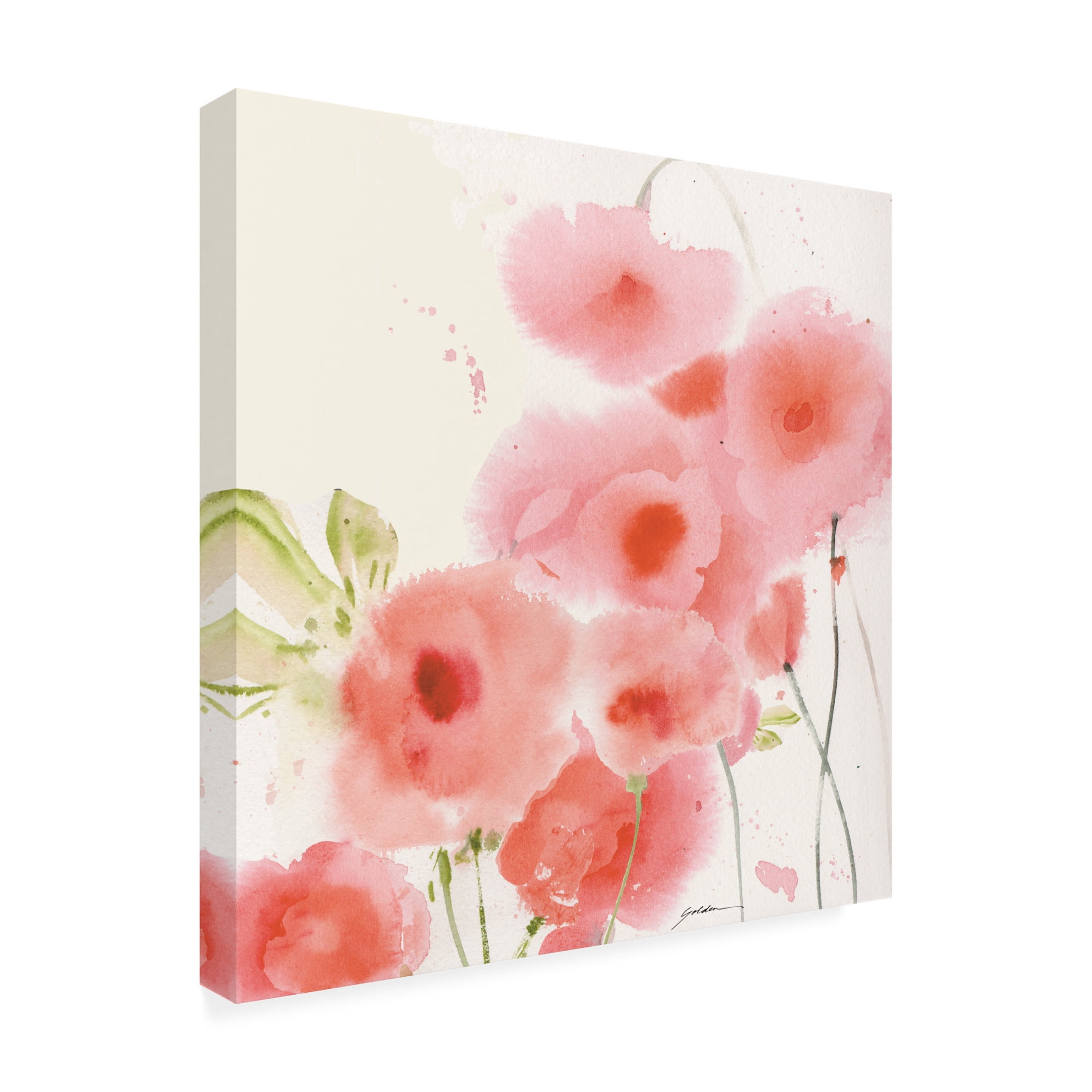Canvas Wall Art - Sheila Golden 'Pink Swath Garden' Wall Art for Living Room, Bedroom, or Office Décor by Trademark Fine Art - 18 x 18 Inches