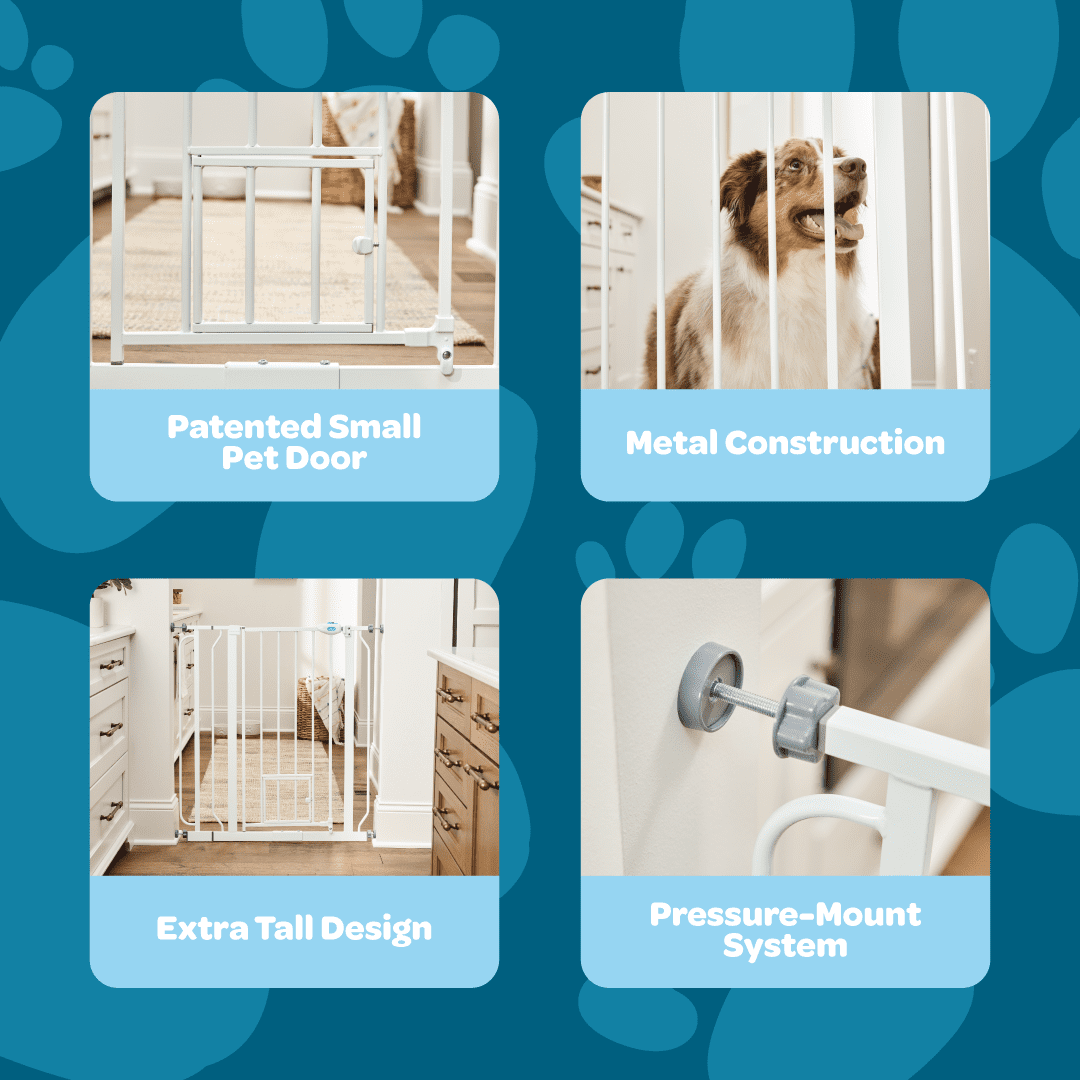 Carlson Extra Tall Metal Walk Through Pet Gate with Small Pet Door and Extension Kit, 36" H x 29"-36.5" W