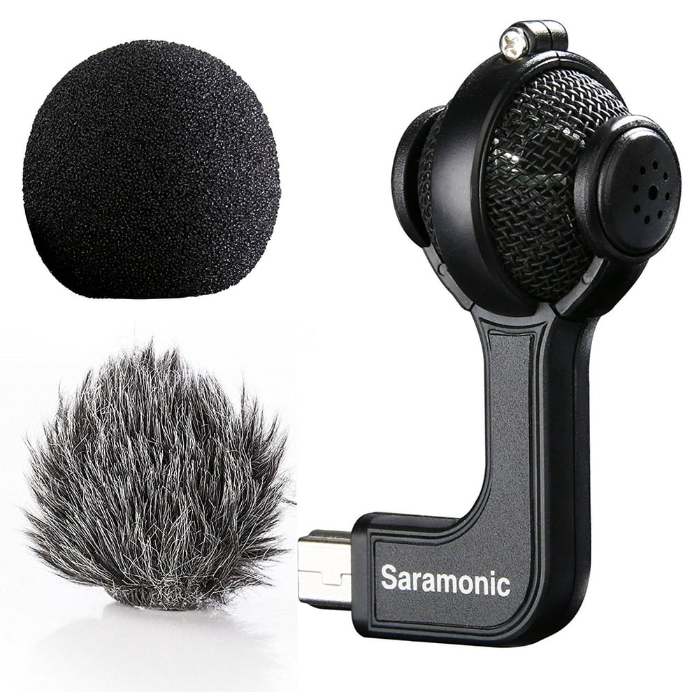 gopro mic