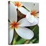 Kathy Yates "White Plumeria" Canvas Art