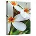 thumbnail image 3 of Kathy Yates "White Plumeria" Canvas Art, 3 of 3