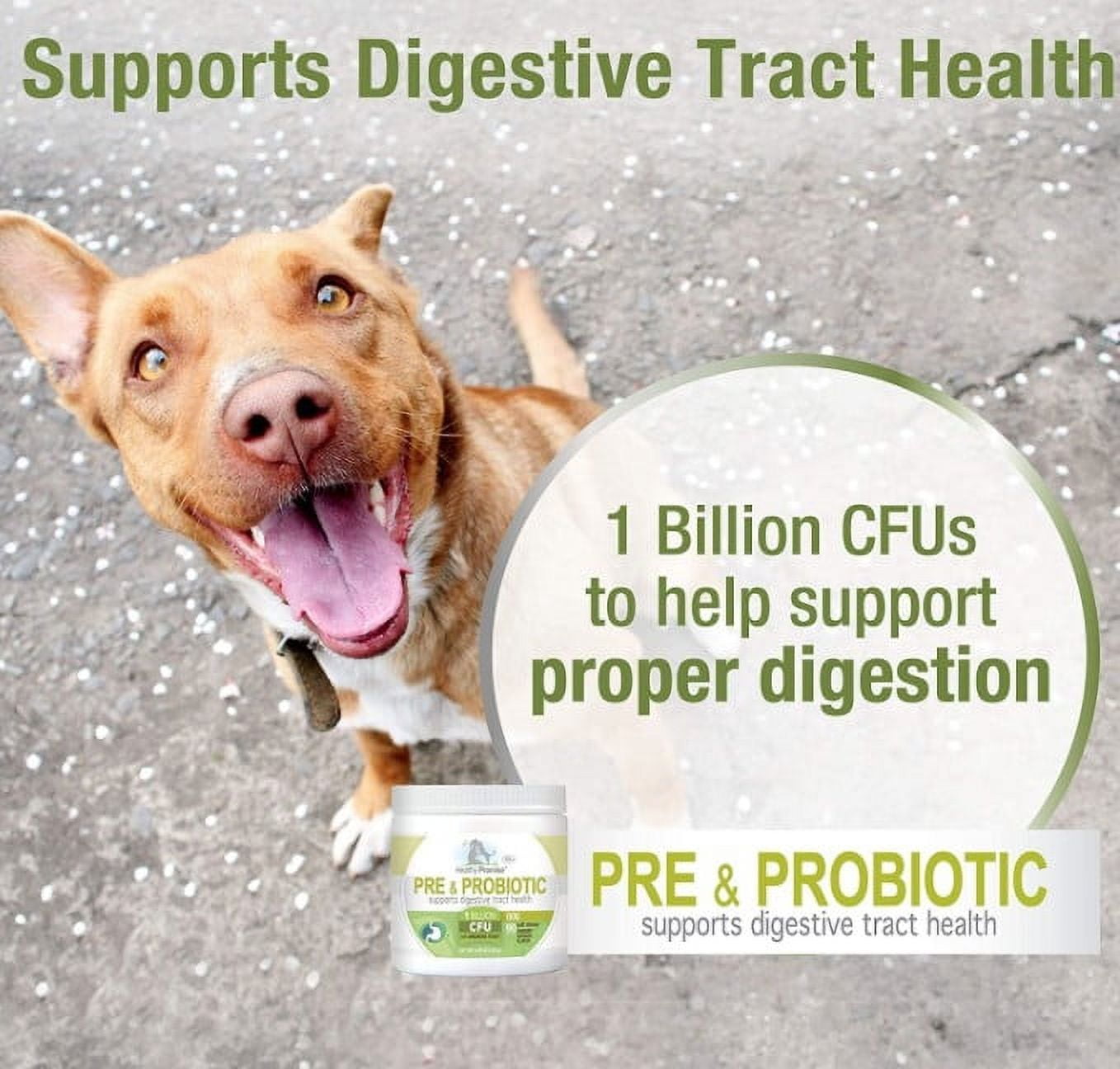 90 count Four Paws Healthy Promise Pre and Probiotic Supplement for Dogs