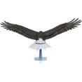 thumbnail image 2 of Metal Earth American Bald Eagle Metal Model Kit, 2 of 4