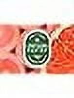 Squirt Grapefruit Flavored Carbonated Caffeine Free Soda Bundled by Louisiana Pantry (Squirt Original, 24 Pack 20oz Bottles)