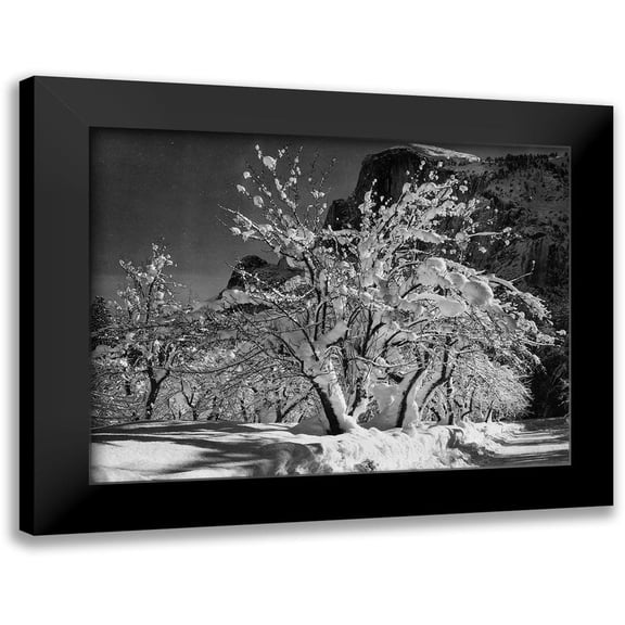 Adams, Ansel 14x12 Black Modern Framed Museum Art Print Titled - Half Dome-Apple Orchard-Yosemite-California