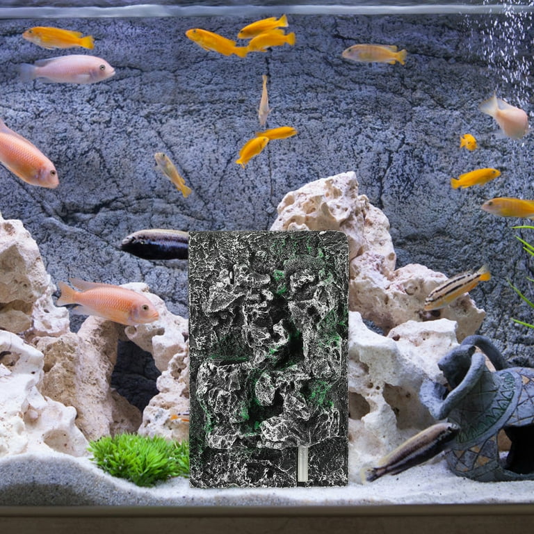 Snake aquarium accessories new arrivals