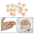 thumbnail image 4 of Conchas de estrella de mar naturales Sunnimix Decoración Artesanal para acuario 3-5cm 20 piezas, 4 of 8