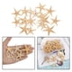 thumbnail image 4 of Conchas de estrella de mar naturales Sunnimix Decoración Artesanal para acuario 3-5cm 20 piezas, 4 of 8