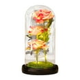 thumbnail image 3 of AYktou Roses Gifts Colorful Artificial Flowers Rose Light Gift in A Glass Dome,Flowers Gifts for Her on Anniversary Valentine's Day Mothers Day Girlfriend Birthday Gifts, 3 of 9