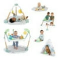 thumbnail image 3 of Ingenuity Tummy-to-Toes 6-in-1 Milestone Center, Unisex, For Ages 0-48 Months, 3 of 18