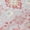 Blush, variant on Addison Rugs Chantille Indoor/Outdoor Traditional Vintage Mint Washable Rectangle Rug, 1'8" x 2'6"