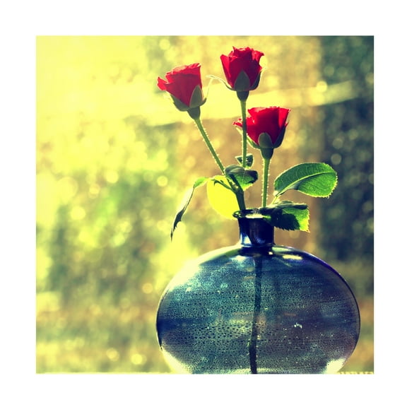 Trademark Fine Art "Since Forever" Canvas Art by Beata Czyzowska