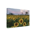 thumbnail image 2 of Trademark Fine Art 'Sunflowers of Hope' Canvas Art by Kurt Shaffer, 2 of 4