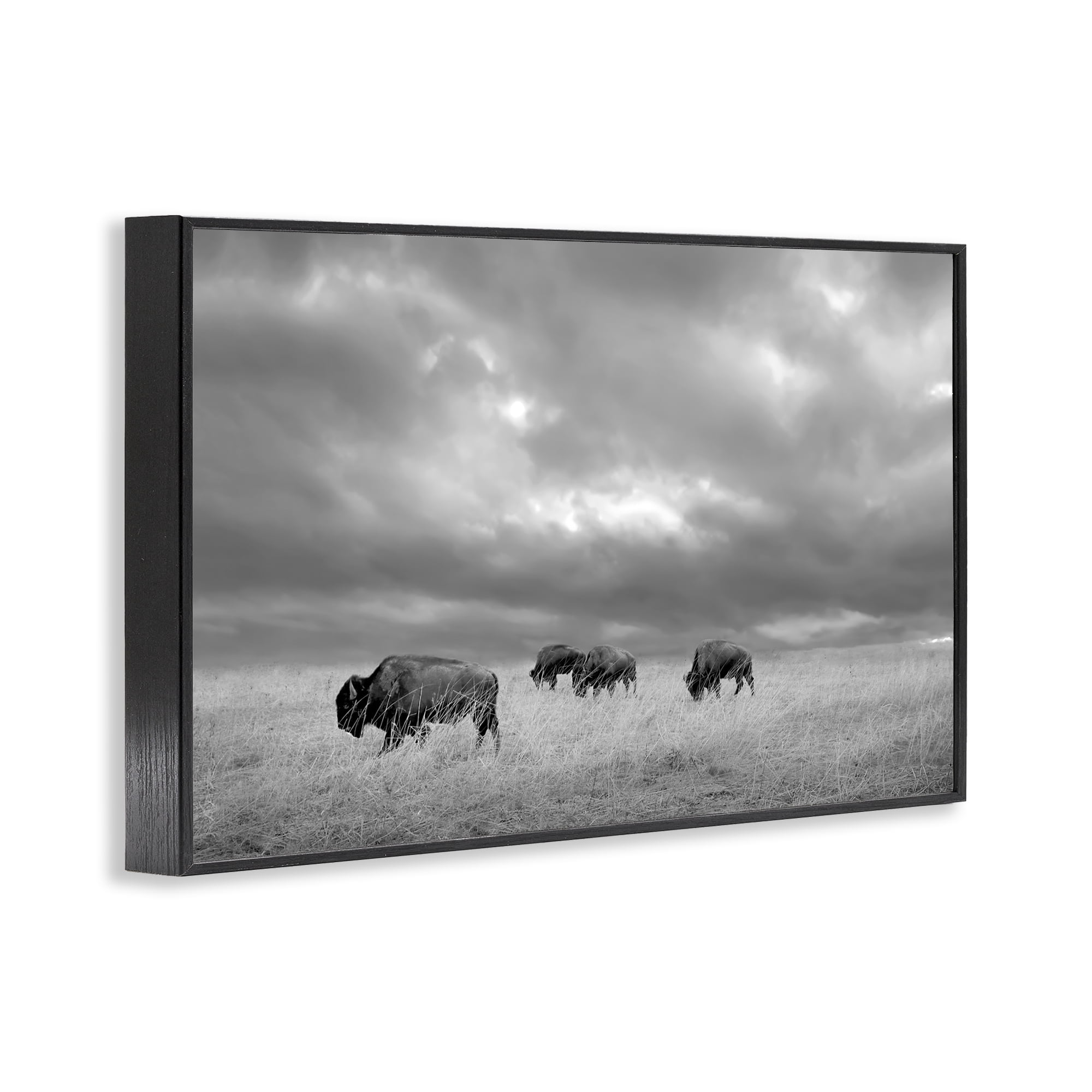 Stupell Industries Bisons Under an Autumn Sky Black Framed Giclee Art, design by Steve Toole