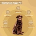 thumbnail image 4 of Organic Ocean Kelp Supplement for Pets – 8 OZ – For Dogs & Cats – Promotes Healthy Skin, Coat & Immune Support – Rich in Natural Minerals & Omega-4, 4 of 7