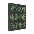 thumbnail image 4 of Trademark Fine Art 'Herb Chart on Black' Canvas Art by Chris Paschke, 4 of 4