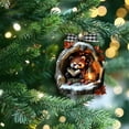 thumbnail image 6 of Christmas Animal Hanging Ornament, Acrylic Reading Book Raccoon Christmas Ornaments 2025, Cute Raccoon in Snowy Tree Stump Ornament, Forest Animals Hanging Decoration Gift for Animal Lovers, 6 of 6