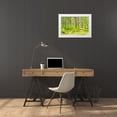 thumbnail image 3 of Murdock, Ramona 32x23 White Modern Wood Framed Museum Art Print Titled - Slow Down, 3 of 4