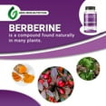 Gridiron Nutrition Berberine 500mg 90 Capsules with Chromium