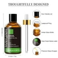 thumbnail image 3 of MAYJAM Pure Basil Essential Oil, 100ML, Therapeutic Grade, for use with Oil Diffusers, Potpourri, and Wicking Fragrance Diffusers, 3 of 7