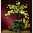 thumbnail image 3 of Nearly Natural Phalaenopsis Stem, Green, 12pc, 3 of 3