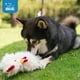 thumbnail image 2 of Juguetes de Peluche Beige Best Pet Supplies Pollo Arrugado para Perros Cachorros y Adultos Mayores, 2 of 6