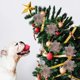 thumbnail image 3 of 12 Piezas Adornos de Poinsettia con Purpurina Decoraciones para Árboles de Navidad Colgante de Árbol Flores Florales Artificiales Guirnalda de Árbol de Navidad Decoración Navideña, Cha, 3 of 4