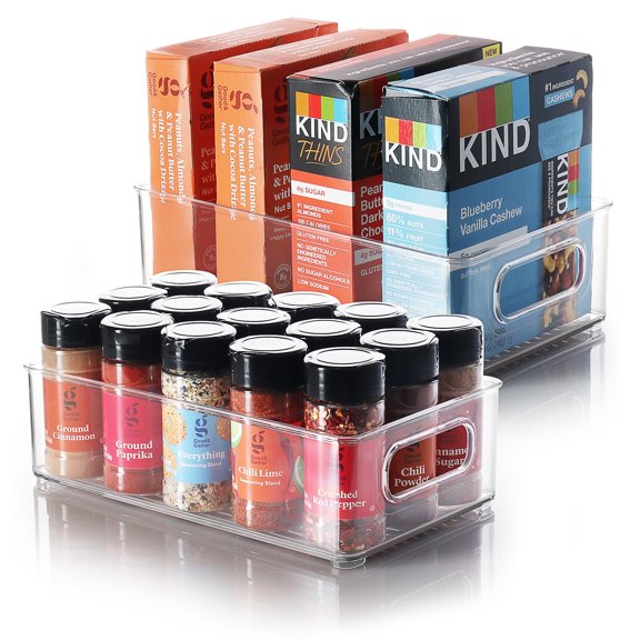 StorageBud Clear Storage Bins , 10X6X3" Plastic Containers,2 Pack Storage Containers