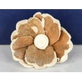 thumbnail image 2 of Sola Wood Flowers Hana Raw Two-Tone Bark Eco-friendly Flowers Perfect for Easy DIY Wedding Bouquets Home Decorations Gifts and Flower Crafting 2" Pack of 10, 2 of 4