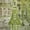 Green, variant on Addison Rugs Dream Shag Premium Machine Washable Transitional Novelty Brown Rectangle Rug, 10' x 14'