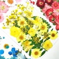 thumbnail image 3 of 2 Bolsas de Secos s para Arte, 3 of 9