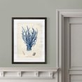 thumbnail image 4 of Wexford Home Antique Coral in Navy V-Framed Print - Black - 22X30, 4 of 4