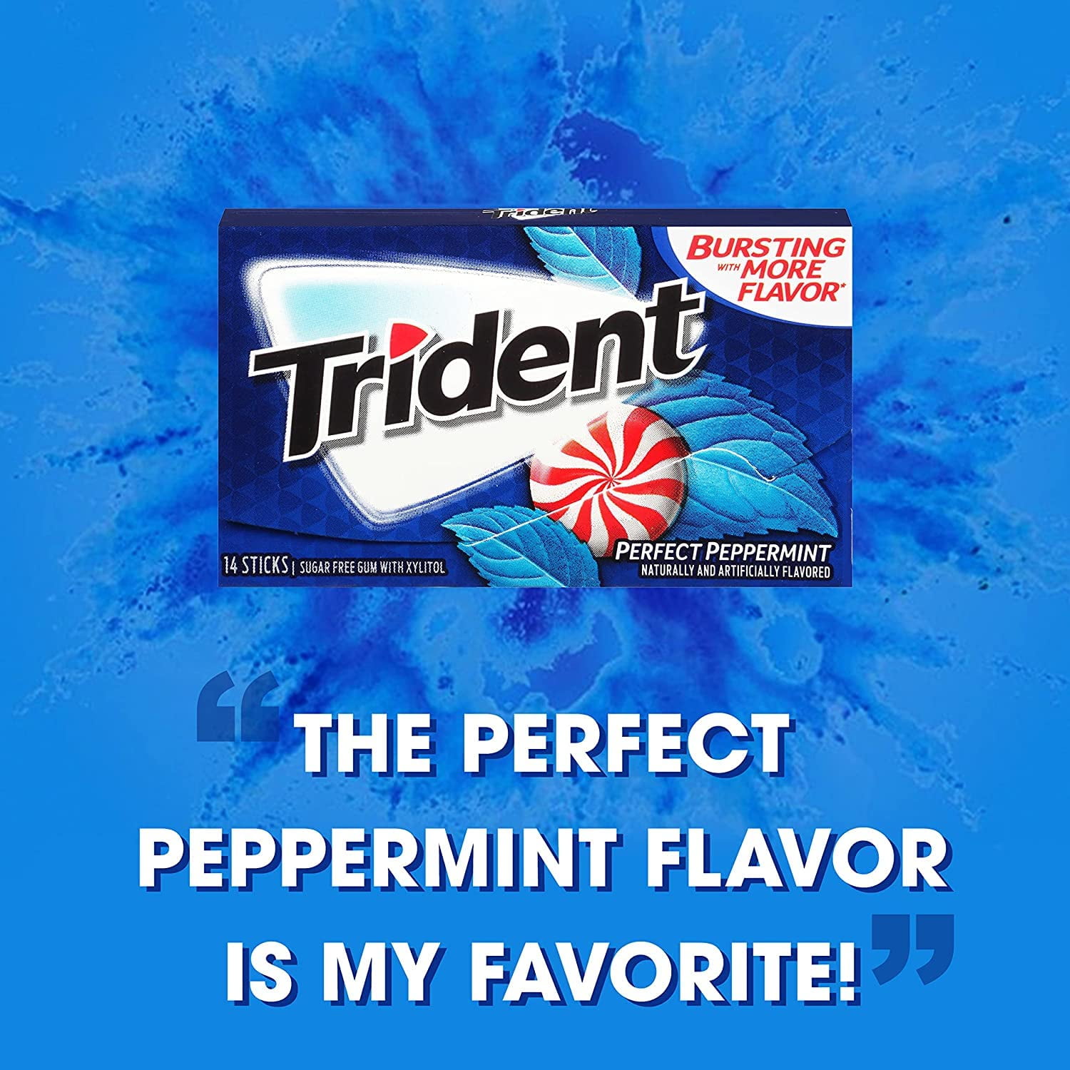Trident Value Pack Perfect Peppermint, Count 12 (14Pcs) X 2 (Package Quantity 2) Gum - (Buy Bulk at a Wholesale Price)