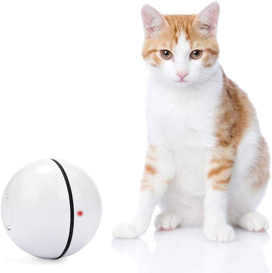cat exercise ball