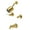 Brushed Brass, variant on Kingston Brass KBX8143DPL Paris Two-Handle Tub and Shower Faucet, Antique Brass