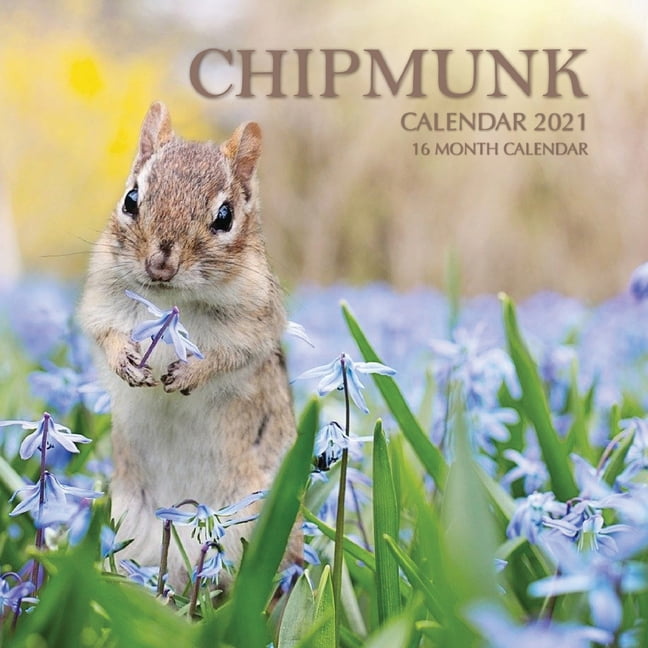 Chipmunk Calendar 2025